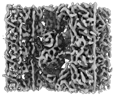 Representative density rendering of a focused 16-nm repeat of the wild-type Tetrahymena basal-body central-core A-B inner junction. This is a subtomogram average with adjacent tubule density, not a raw micrograph, whole basal body or individually labeled protein model. No scale bar is shown.