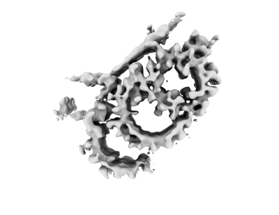 Representative density rendering of a wild-type Tetrahymena central-core basal-body triplet with associated luminal attachments. This is a subtomogram average, not a raw micrograph, complete scaffold ring or identification of individual proteins. No scale bar is shown.